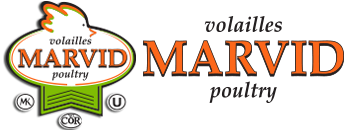 marvid_logo-2